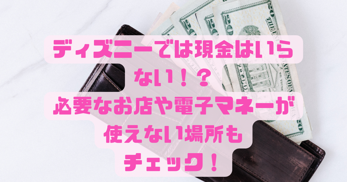 ディズニーでは現金はいらない 必要なお店や電子マネーが使えない場所もチェック 日常向上ハピネス上等